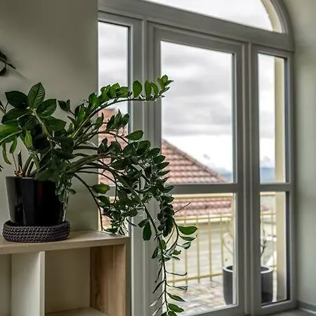 Fjord-view Apartment, 10 Min Walk To Centrum Leilighet Ålesund